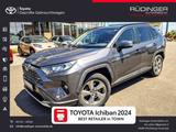 Toyota RAV4 Hybrid RAV 4 2.5 4x4 Team Deutschland - Toyota RAV 4: De