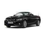 BMW 218i Cabrio Navi Business AHK PDC LM - BMW 218 Gebrauchtwagen