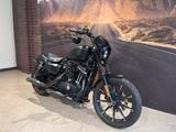 Harley-Davidson XL883N Sportster IRON 883 UMBAU PENZL - HARLEY-DAVIDSON SPORTSTER UMBAU