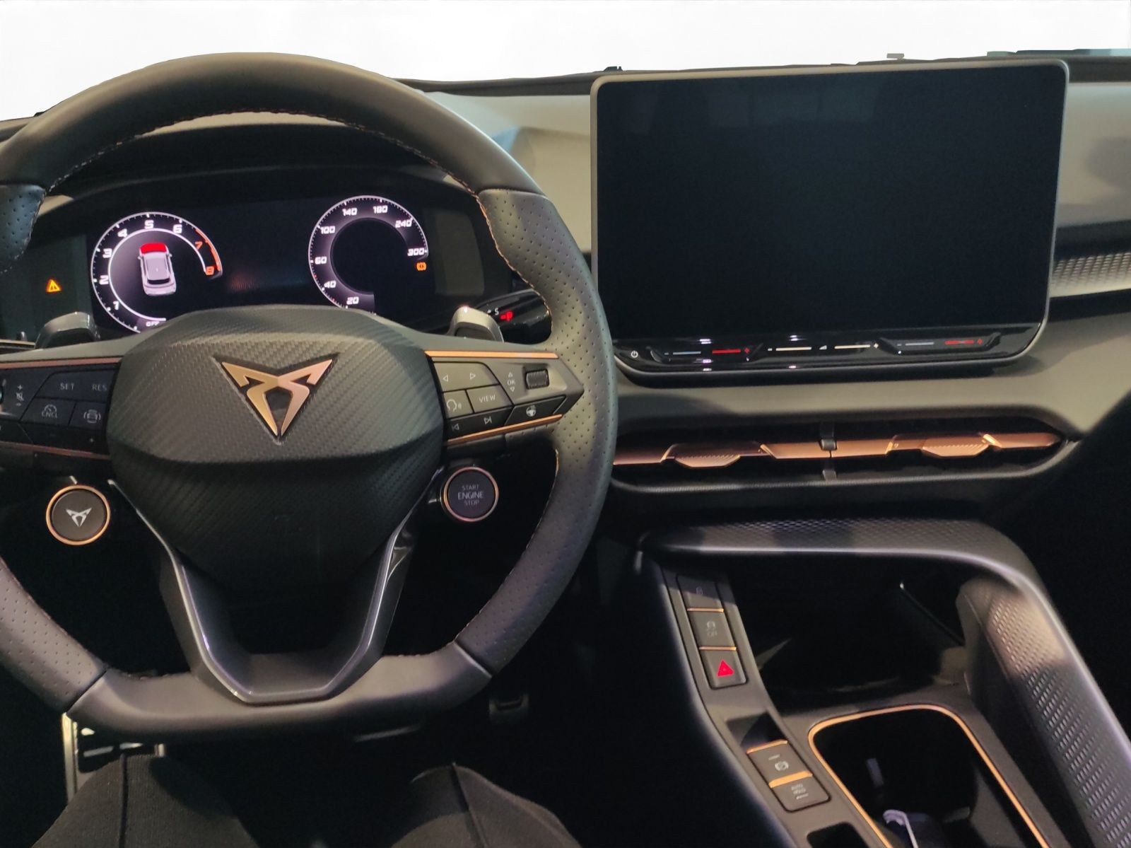 Cupra Terramar - Bild 12