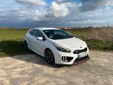 Kia ProCeed GT Challenge | RECARO | NAVI | MAXTON - Kia pro cee'd / ProCeed: Limousine