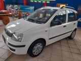 Fiat Panda 1.2 Emotion - Fiat Panda Emotion mit Benzin-Antrieb