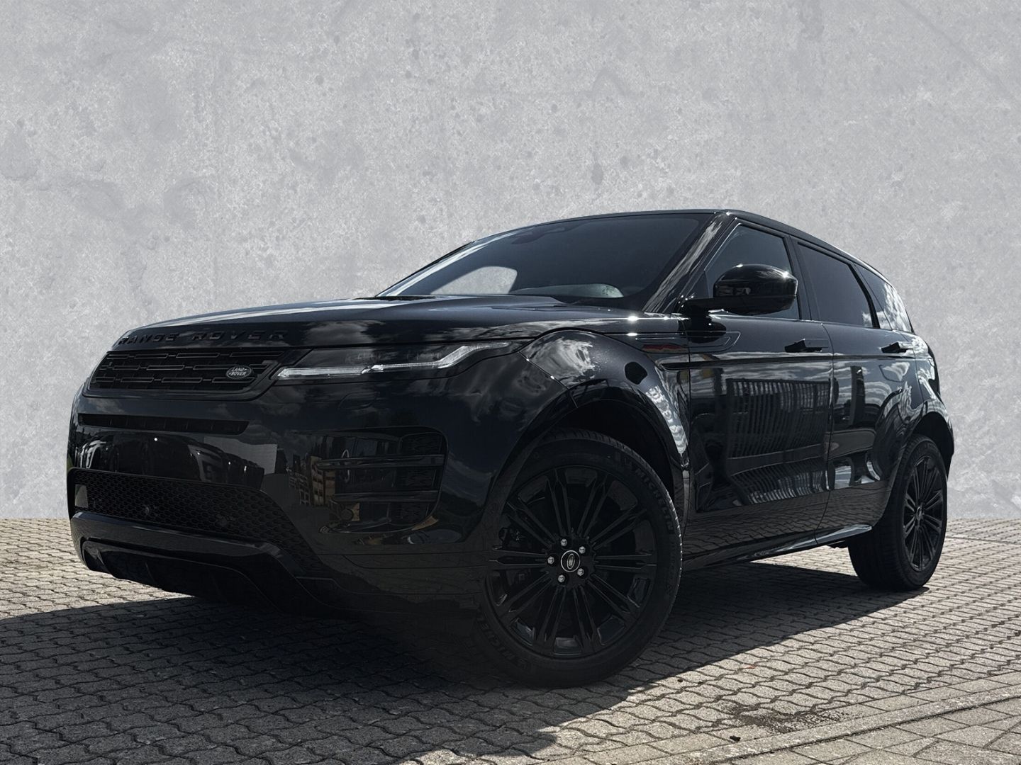 Land Rover Range Rover Evoque Dynamic SE,20-Z,PanoSD,Winter