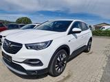 Opel Grandland (X), HU neu. - Opel Grandland (X) in Kassel