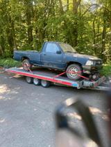 Volkswagen VOLKSWAGEN TARO ** SUCHE** - VW Taro Gebrauchtwagen