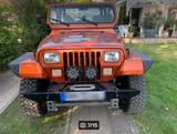 Jeep Wrangler 4.0 YJ - Jeep: Yj