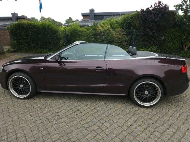 AUDI Wunderschöner Audi A5 Cabrio,Facelift Voll...