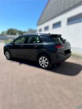 Citroën C4 Cactus PureTech 82 Feel Feel - Citroën C4 Cactus aus 2018