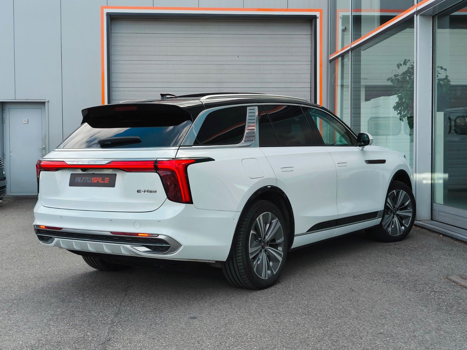 Hongqi E-HS9 President Pano/6 Seats/Air Susp/Warranty imagem 3