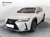 Lexus UX 300 e Luxury 2WD - Lexus Elektroautos