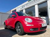 Volkswagen New Beetle Lim. 1.8 Turbo United TOP 2. Hand - Volkswagen New Beetle: United