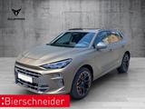Cupra Terramar VZ 2.0 TSI 4Drive DSG 20 STANDH.  PANO 