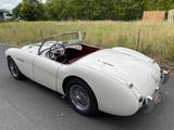Austin Healey BN1 (100-4) M Spezifikation Denis Welch ZK - Austin Healey: Bn4