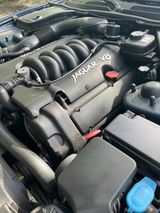 Jaguar XK8 Cabriolet Arden - Rarität - Jaguar: Arden