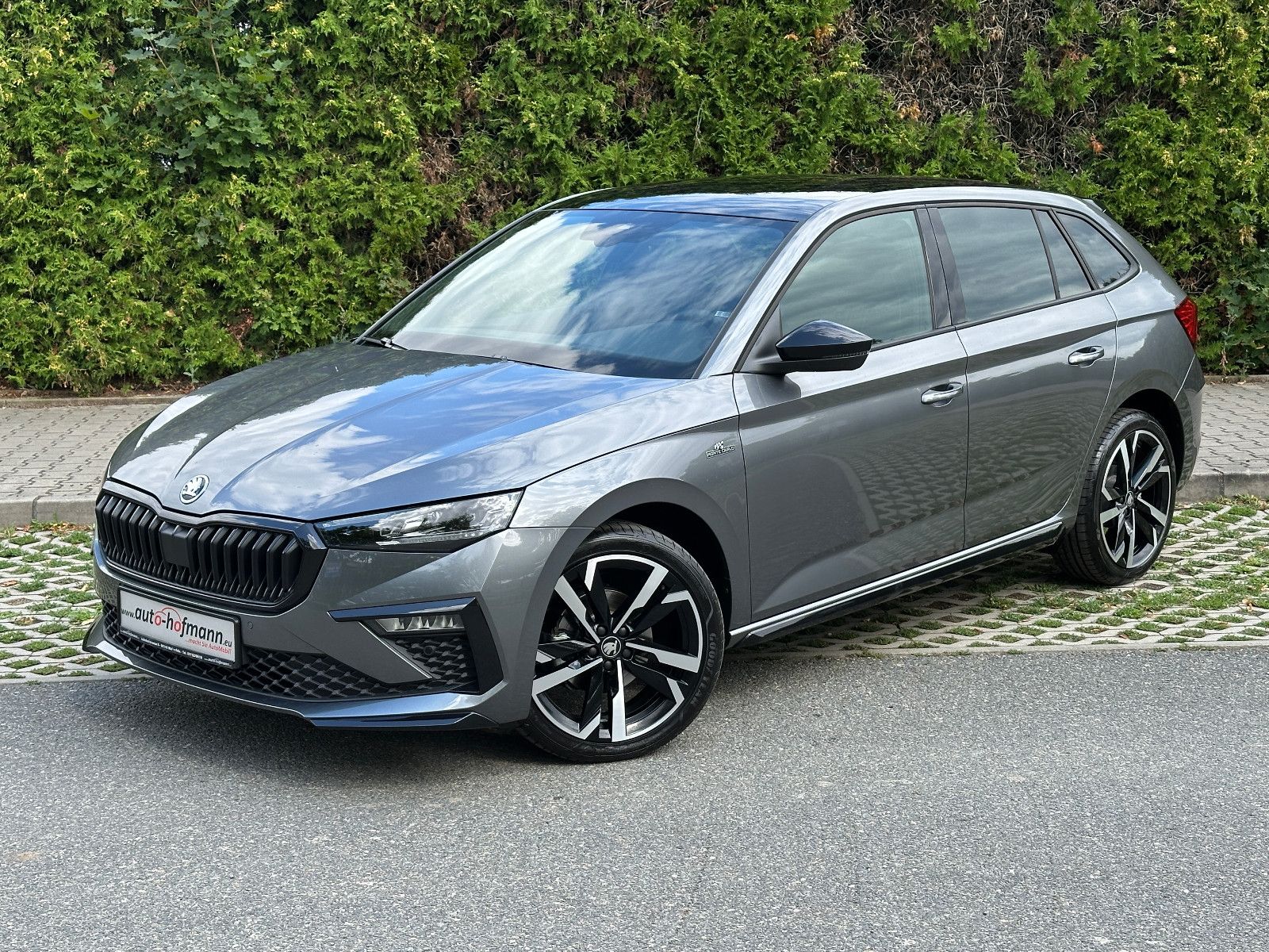 Skoda 116PS Monte Carlo Side Assist KAMERA PDACH LM18"
