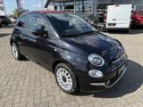 Fiat 500 C 1.0 Hybrid Dolcevita SITZHEIZUNG,NAV,TFT - Fiat aus 2024