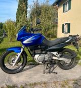 Suzuki Freewind 650F - SUZUKI FREEWIND