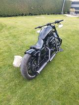 Harley-Davidson Sportster XL 1200 - HARLEY-DAVIDSON 2004 1200 SPORTSTER