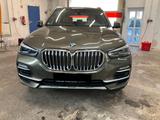 BMW X5 xDrive40d xLine - BMW X5: Grün