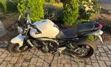 Yamaha FZ6 S2 RJ14 (Modellpflege) - Offers