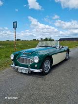 Austin Healey 100 - gebrauchte Austin Healey Roadster
