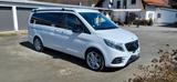 Mercedes-Benz Marco Polo - AMG Line -  Easy Up Dach - Mercedes-Benz Allradantrieb