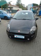 Fiat Punto 1.2 8V 5 porte Street - Fiat Punto: Street
