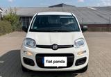 Fiat fiat panda - Fiat Panda Gebrauchtwagen in Solingen