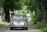 Jaguar Daimler - Jaguar Daimler von privat