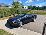 Mercedes-Benz CLK 320 SPORT AMG - Mercedes-Benz CLK 320 aus 1999: Cabrio