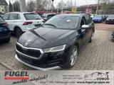 Skoda Octavia Combi 2.0 TDI 4x4 Scout LED|AHK|Headup|N - Skoda Octavia: Allradantrieb, Scout