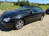 Mercedes-Benz CLK 200 Aut. Kompressor Leder/PDC/AHK - Mercedes-Benz: Cabrio