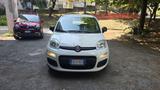 Fiat Panda 1.2 Trussardi - Fiat Panda TRUSSARDI