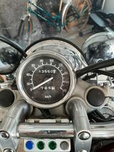Yamaha Virago 535 - YAMAHA 1997 VIRAGO 535