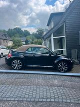 Volkswagen New Beetle Cabrio Schwarz mit Beigem Dach - Volkswagen New Beetle mit Benzin-Antrieb: Automatik