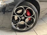 Alfa Romeo Giulia Veloce Q4 - Pano/CarPlay/ACC/HK - Alfa Romeo Giulia in Hamburg