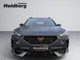 Cupra Formentor 2.0 TSI VZ AHK PANO LEDER COPPER MATT - Cupra Formentor Matt Gebrauchtwagen