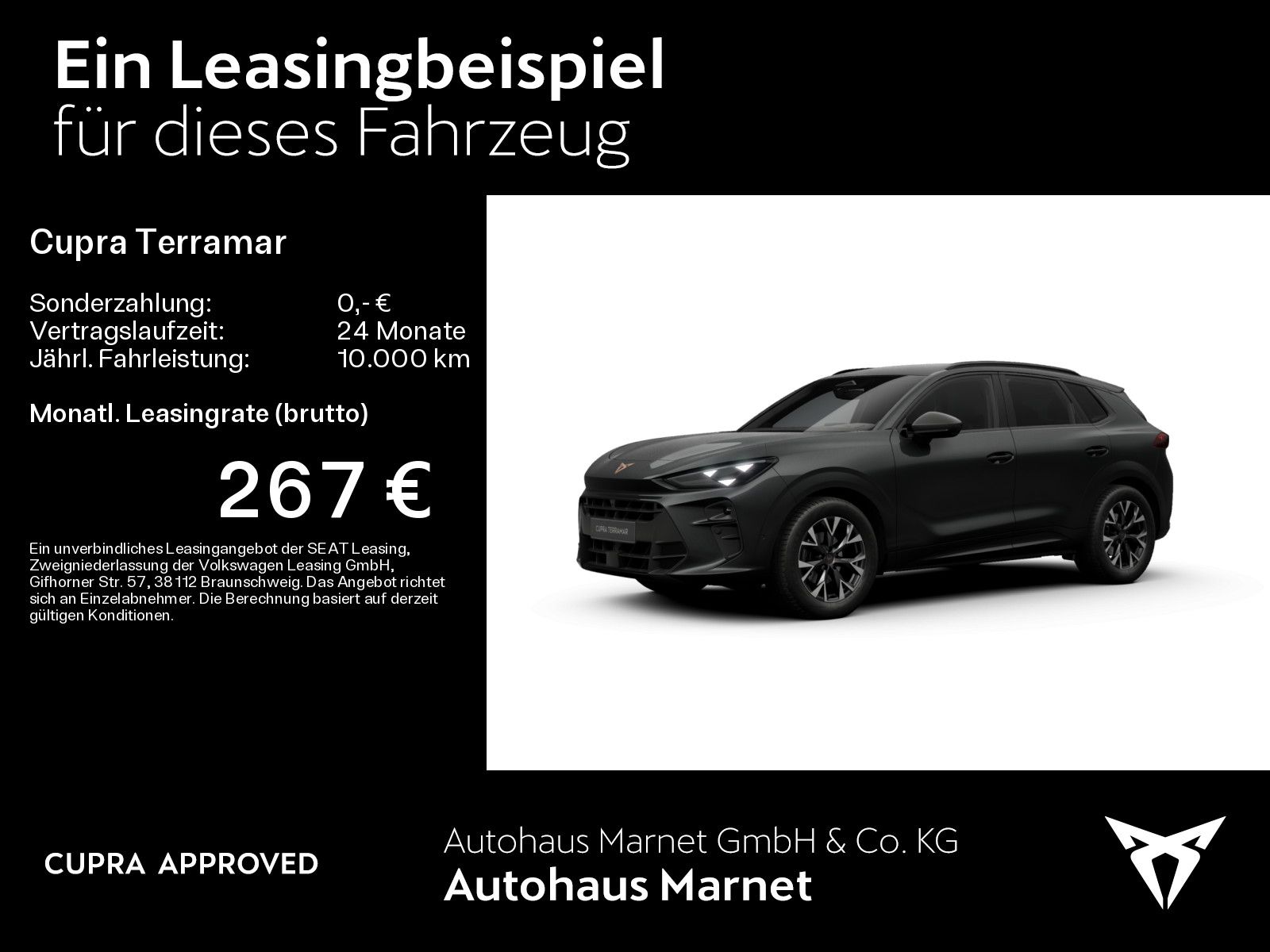 Cupra Terramar - Bild 2