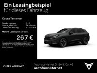 Cupra Terramar - Vorschau Bild 2