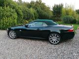 Jaguar XK 4.2L V8 Cabriolet - - Jaguar XK: Cabrio, 8