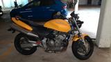 Honda Hornet CB 600 F - HONDA 2000 HORNET 600