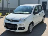 Fiat Panda Easy TÜV NEU/KLIMA/PARKTRONIC/CITY SERVO/ - gebrauchte Fiat Panda aus dem Jahr 2017