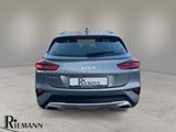 Kia XCeed 1.5 T-GDI Edition 7 + Android-/Apple CarPl - Kia XCeed mit Benzin-Antrieb: Geländewagen, Schaltgetriebe