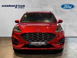 Ford Kuga ST-Line X Plug-In Hybrid - Ford Kuga Tageszulassungen