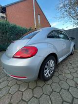 Volkswagen Beetle 1.2 TSI Design Design - Volkswagen Beetle in Essen