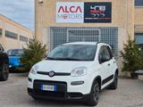 Fiat Panda 1.0 FireFly S&S Hybrid City Life - Behindertengerechte Fiat Panda