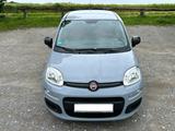 Fiat New Panda 1.2 8V EASY Moda Grau 1 Besitzer  - Fiat New Panda von privat