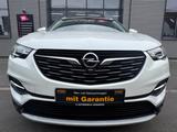 Opel Grandland (X)*GARANTIE*LED*NAVI*T.LEDER*EU6* - Opel Grandland (X) in Nürnberg
