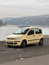 Fiat Panda 1.2 Benziner | nur 61.187 km | ... - Fiat Panda in Bonn