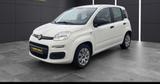 Fiat Panda - Fiat Panda Gebrauchtwagen in Dortmund